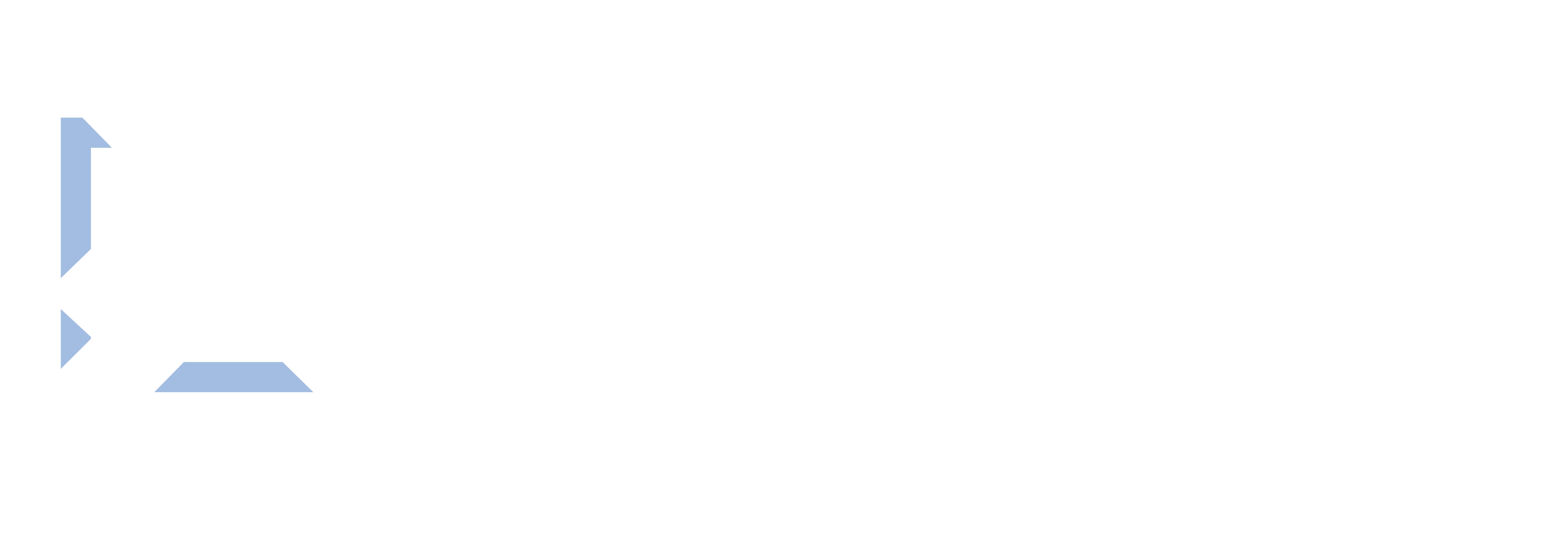 Protomentum Logo